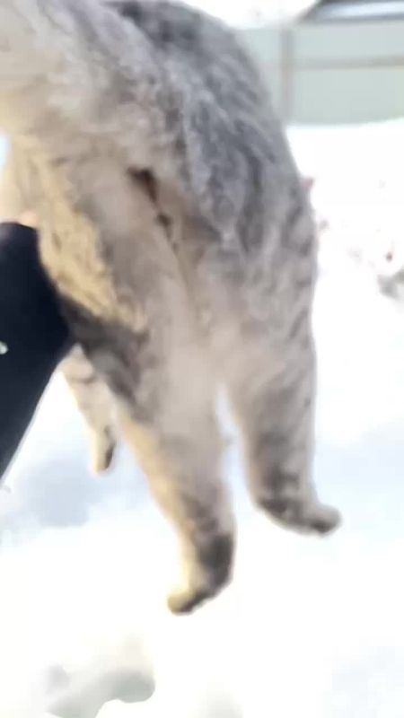 ������� - 27 ������, �������