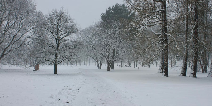 В Саратовской области ожидается небольшой снег и температура до -9 градусов