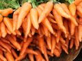 Как добиться сладости в моркови без лишних усилий