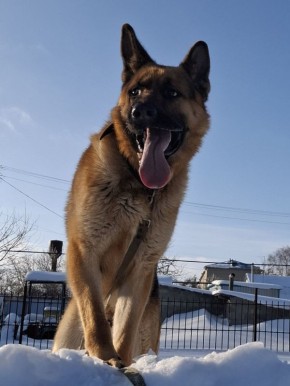 ������� - 28 ������, �����