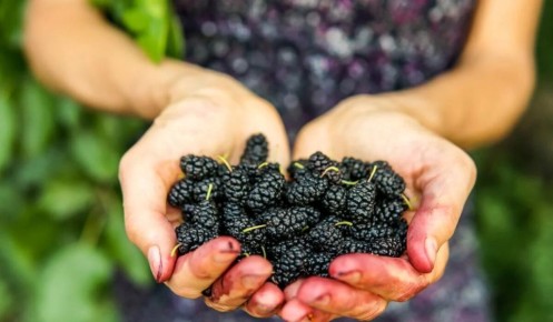 ��� ������ ������ ����� ��������� � ��� �� ��������� ������