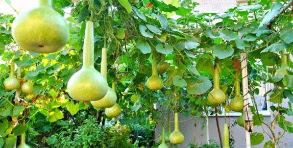 ��������� � 200-�������� �����: ��� �������� ���� � �������� ����� �� �����