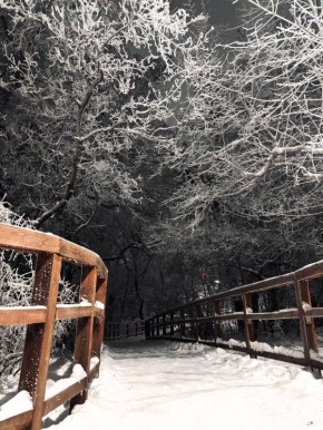 ������� � ������ ����