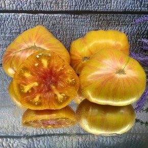 ����� ������� �����: ��� ��������� ��������� ������ � ������ ��������