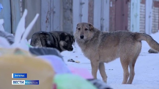 �������� � ������� ������� ����������� ����� �������� ����������