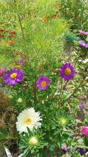 ����� �� ������ ��� ������� ������: ��� ������� �������� ��� ��������� �����