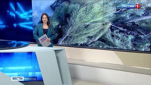 ����������� ���� ���������, ������� �� ������ �����