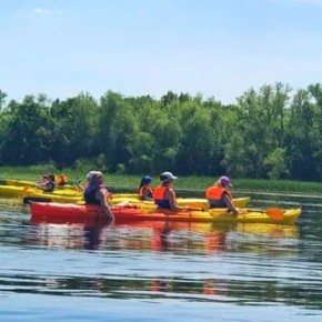 ����������� ������� - � ������ ������� ������������� �������������� ��������