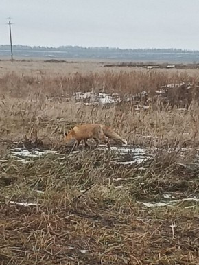 ����������� �������� ������� ������� �� 126 ������� � ������ �����