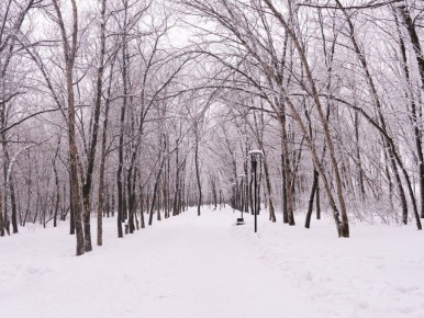 ������� ���� � ������ ��������