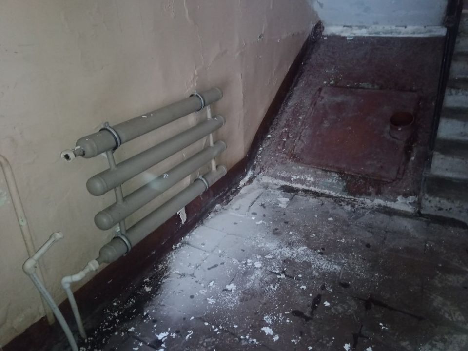 ������ ����������� � �������� ��������� ����������� �� ���� ���� "�������"