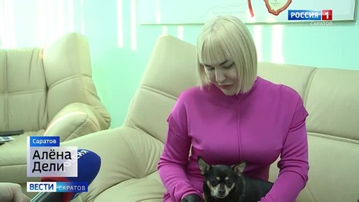 Больше 30 стран мира – столько мест в прошлом году посетили саратовские питомцы вместе с хозяевами