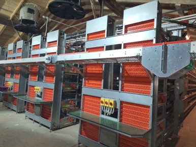 ����������� ������������ ��������� ��������� ������������ ��� �� 20 ��������� ���� � ���