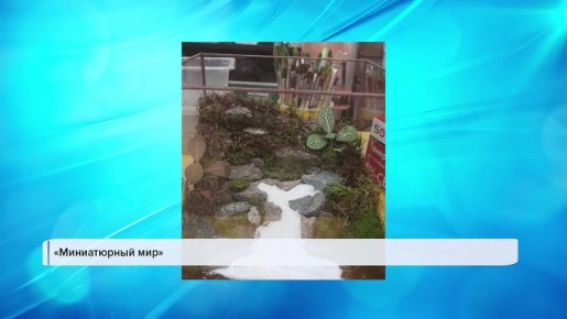 �������� ���� � ������ ������� ������� �������