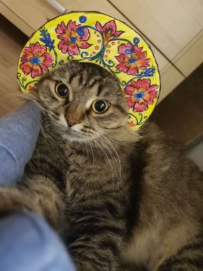 ������� - 30 ������, �������