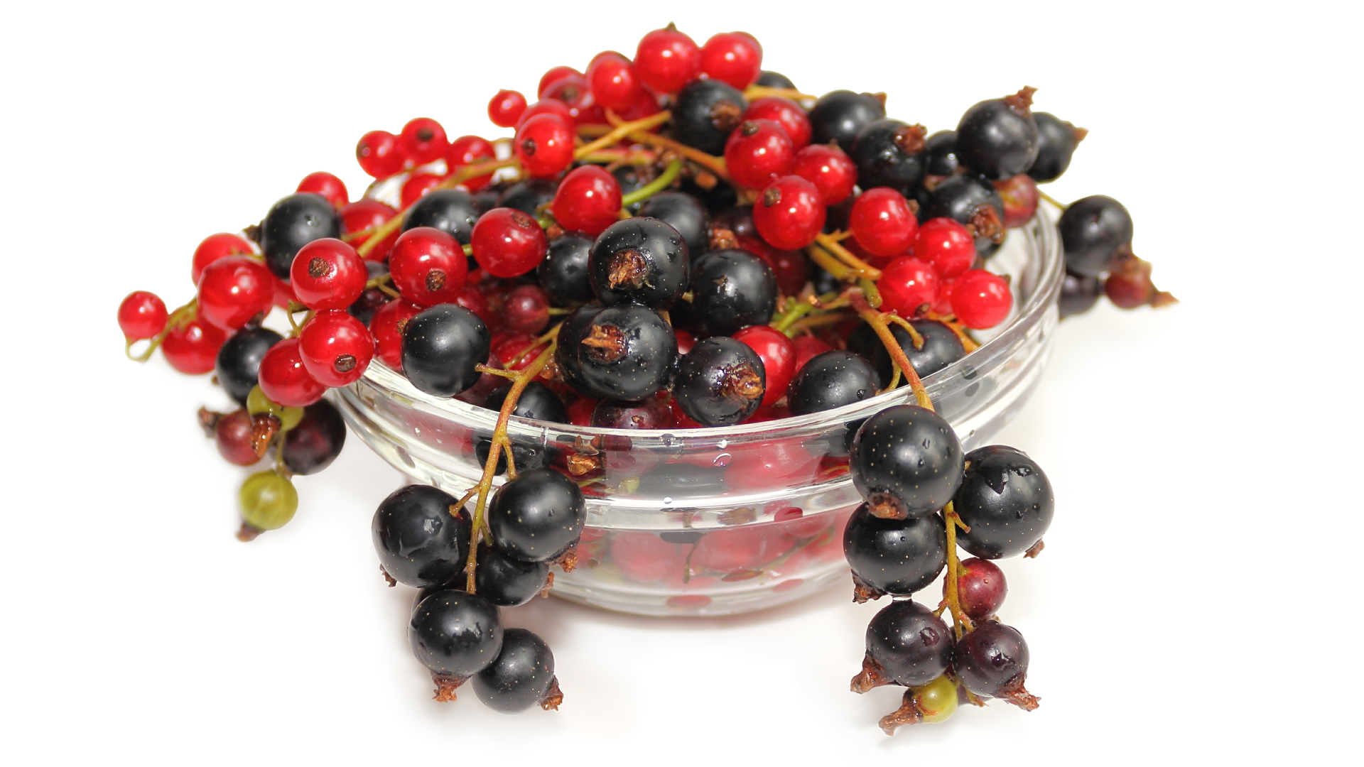 Шеф-повар поделился простым рецептом пастилы из смородины