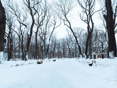 ������ ���� ������� ��������