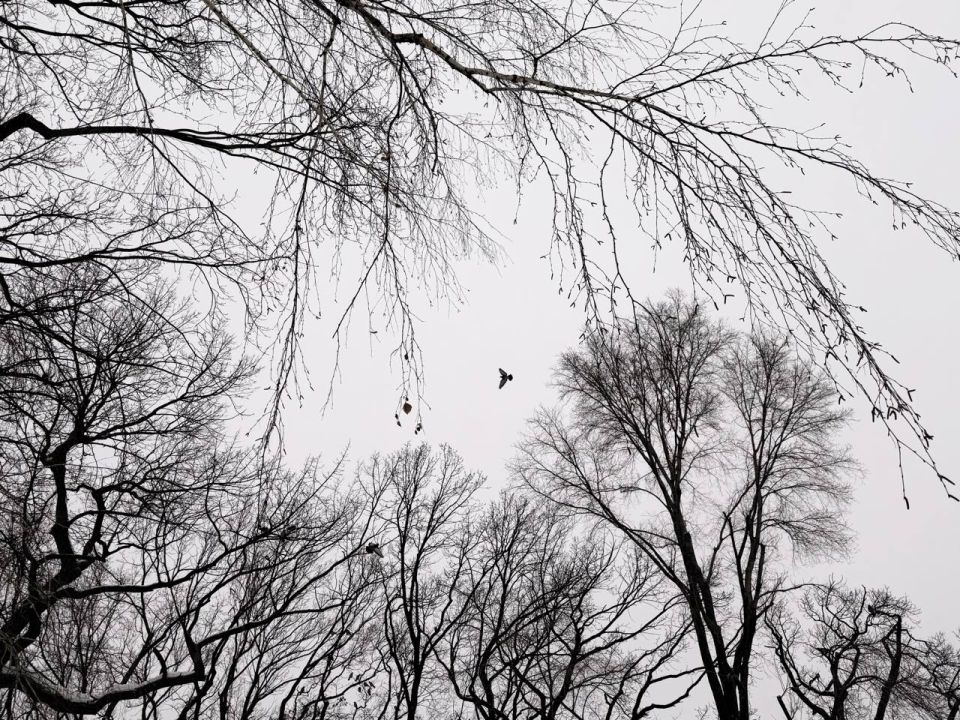 � ��������� ��� ���������� �� ������� ��������� ���� ������ � ����������!