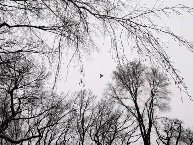 � ��������� ��� ���������� �� ������� ��������� ���� ������ � ����������!