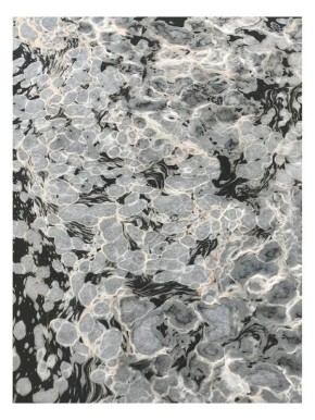 На Волге в Саратове заметили "пенные" льдины