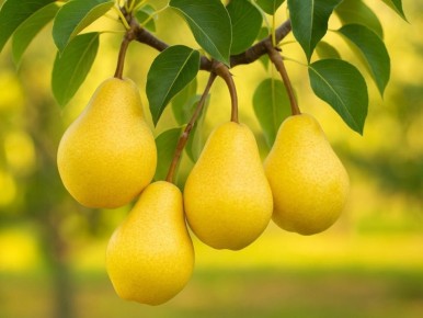 ����������� ����� ��� ����: �������� ����� � ������� ������