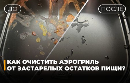 Как быстро вернуть аэрогриль к жизни после длительного запустения