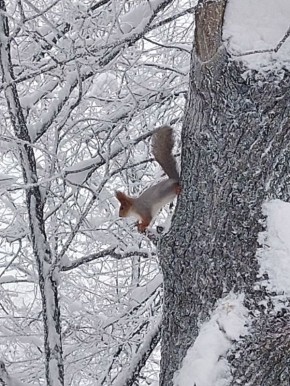 ���������� ���������� "������� 24" ������� ������ ��������