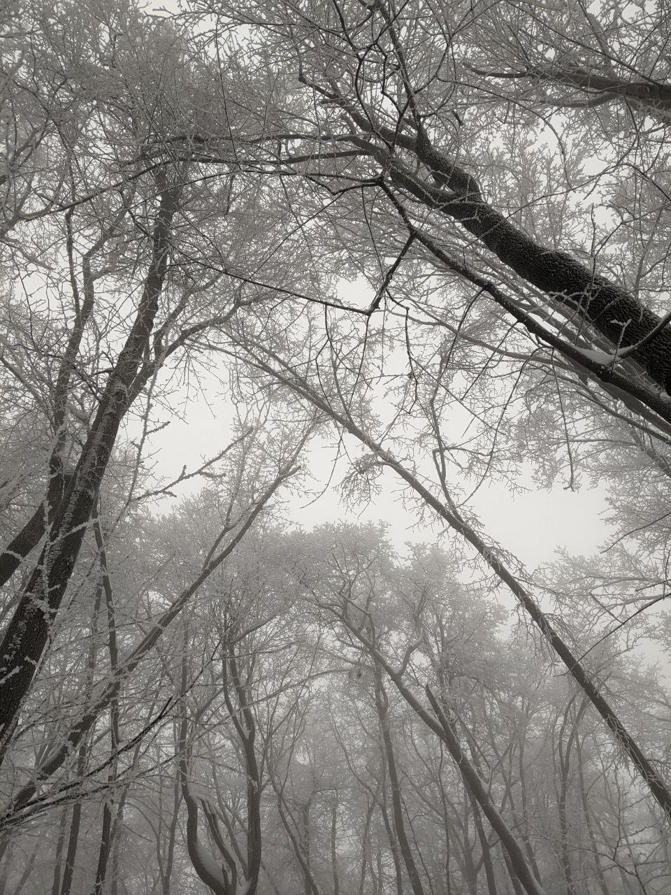 Сегодня - 1 февраля, воскресенье Сегодня - 1 февраля, воскресенье