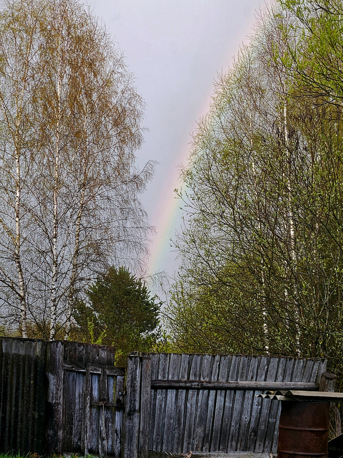 Тайны выпечки: погружение в мир домашнего хлеба