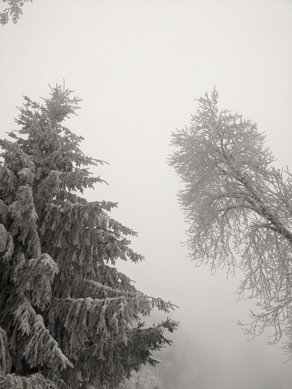 Сегодня - 1 февраля, воскресенье Сегодня - 1 февраля, воскресенье