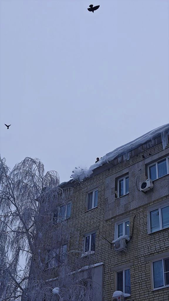 Комитет по ЖКХ контролирует уборку дворовых территорий Комитет по ЖКХ контролирует уборку дворовых территорий