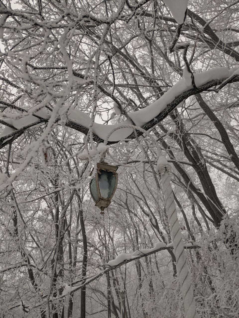 Сегодня - 1 февраля, воскресенье