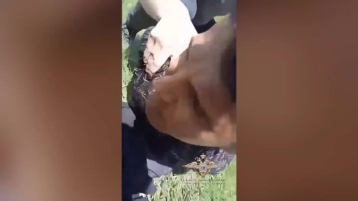 ��������� � ��� ���������� ����� ������ �� ����������� ���� ���������