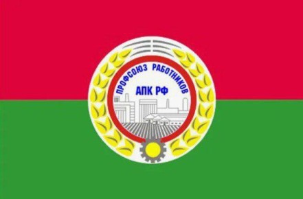 ���������� ���������� ������� ������� � �������� ����������� ���� ������������