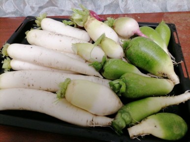 ������ ������� � ��������� ������: ��������, ������ � �������