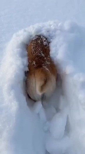 ������ ��������� ����� ������������ ���� �� ������)