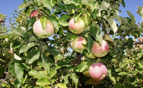 � ����������� ������� � 2025 ���� �������� 401,5 �� ����������� ����������