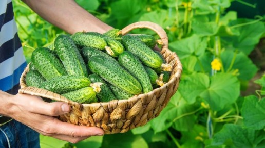 �������� ��������� ����������� �������: ��� ������� �������� ���������� �� �������