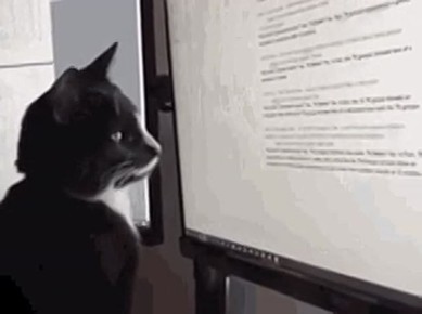 ������ �������, ��� ������ ��������� ����� ������, ��� �� ��������