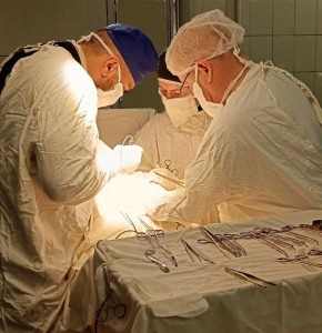 ����������� ������ ������ ����� �������� � ��������� �������������� �����