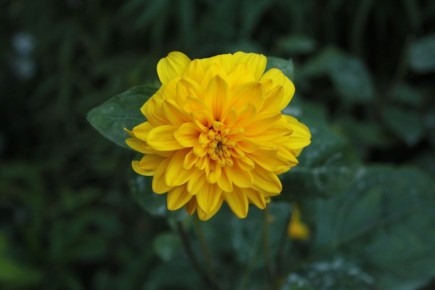 ������� ������� � ����� ������������ �������: ��� ����� �� ��������