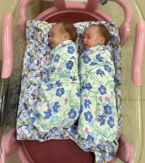 � ����������� ������������� ������ �������� ���������-����������