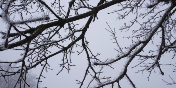 � ����������� ������� ������������ ���������� �������, �������� � �����