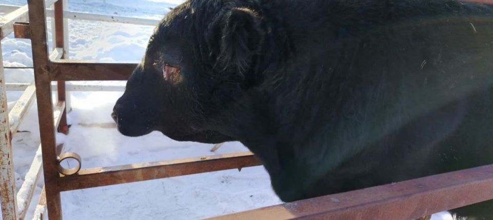 ��� ��������� �������� ������� ������������� � ����� ����