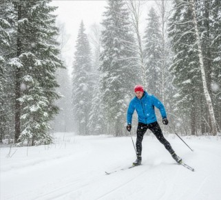 � �������� ���������� ��� ��������� ���������� � "���������" ����