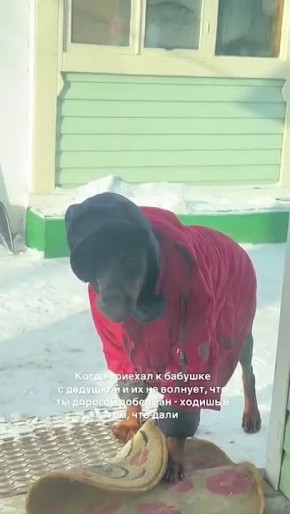 � ����� ����� � ������ ���)