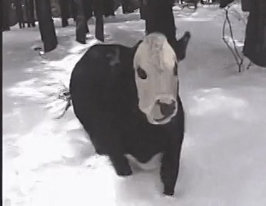 ����� ��������� ��������� � ������� ����� ������ ������