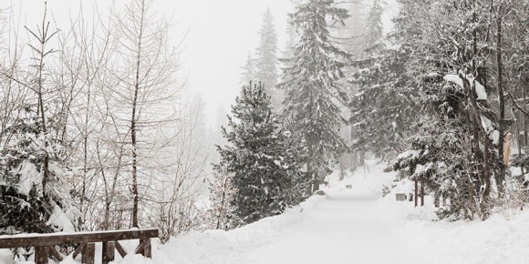 �������� � ����������� ������� ������� �� ����������� � �����������