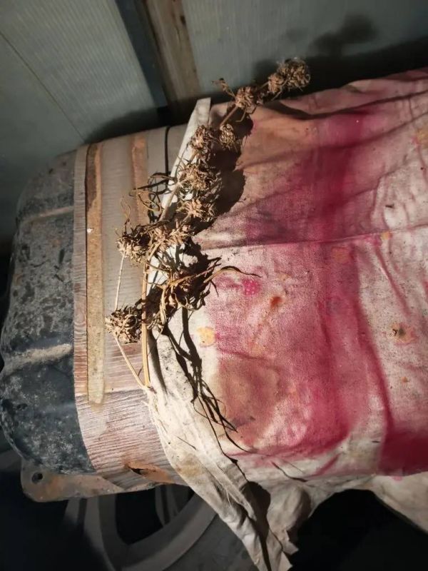 �������������� ������������� �������� ���� ������������ ����������