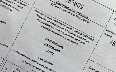 �� ��������� ������ ���������� ������ ���������� �� �������� ����